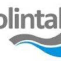 Logo Solintal